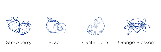 Rosato Tasting Notes include: Strawberry, Peach, Cantaloupe, and Orange Blossom