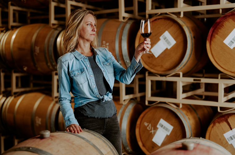 Seghesio Zinfandel Experience