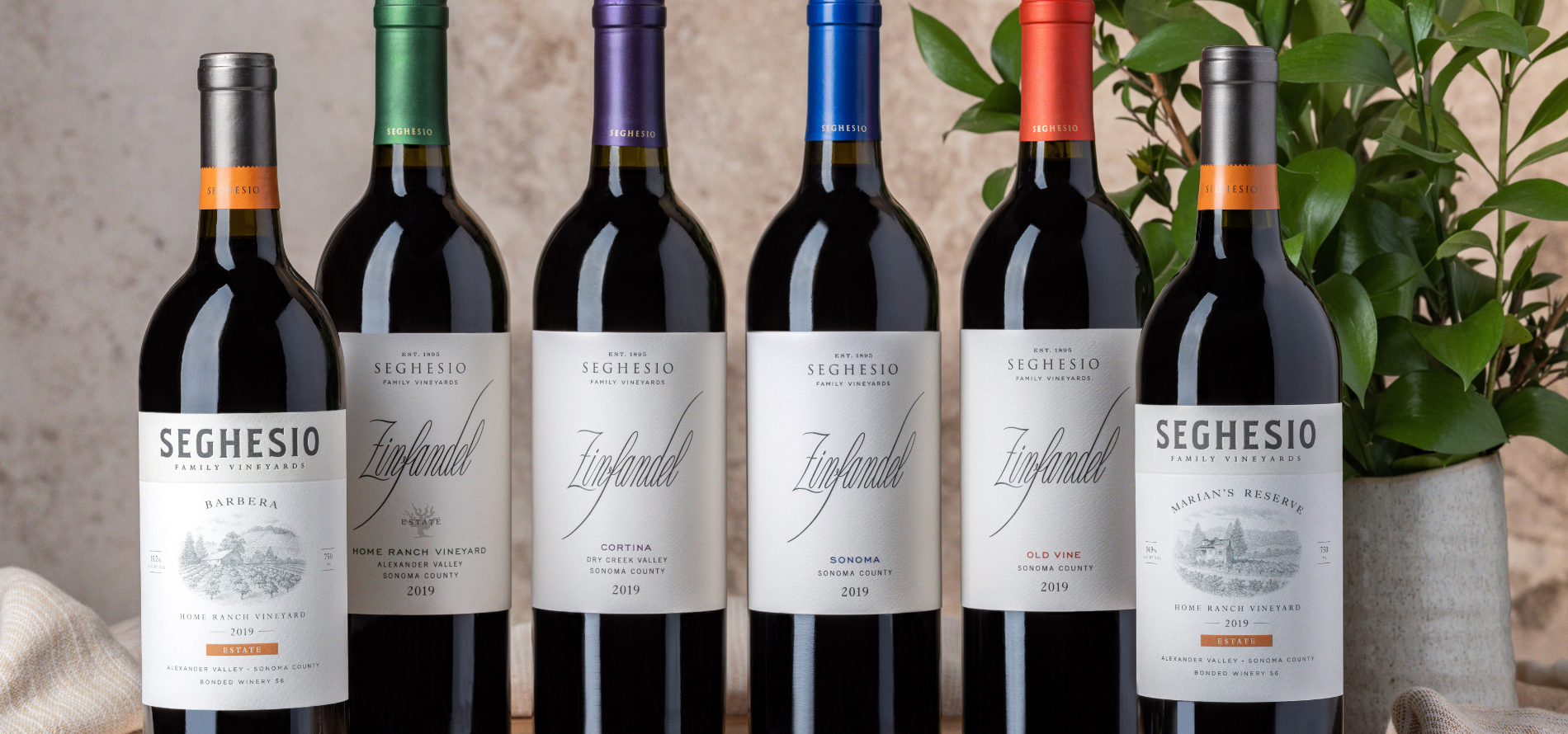 lineup of Seghesio wines