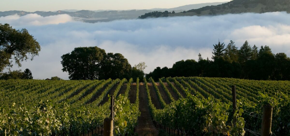 April 2026 club newsletter